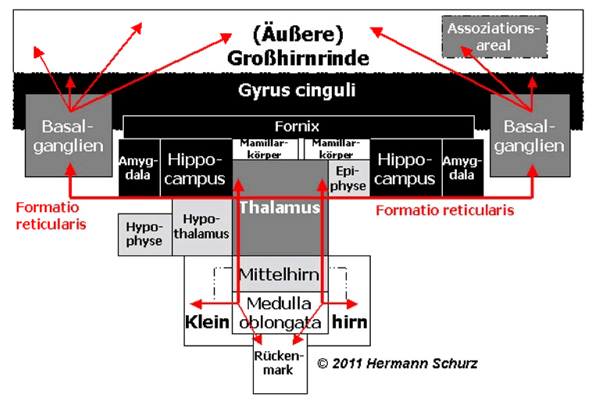 Abbildung 2