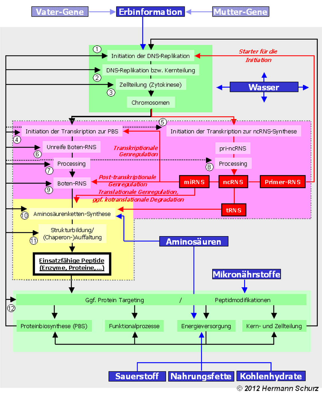 Abbildung 6